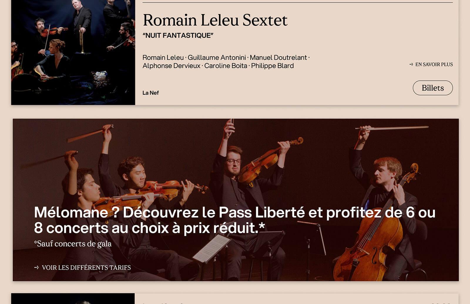 Visualizzazione del sito web