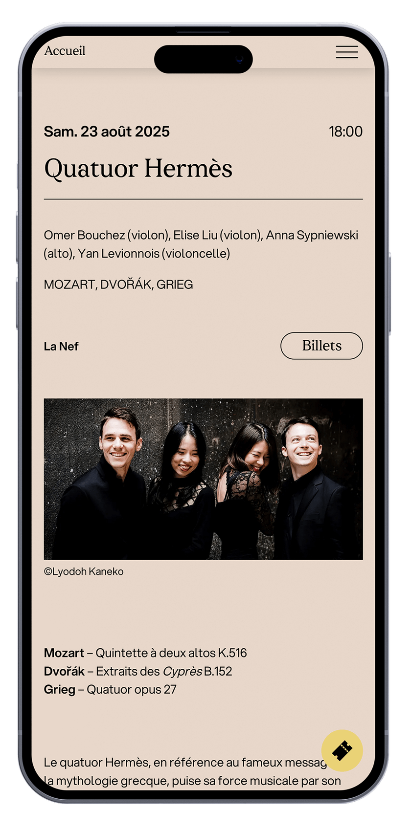 Visualizzazione del sito web su mobile